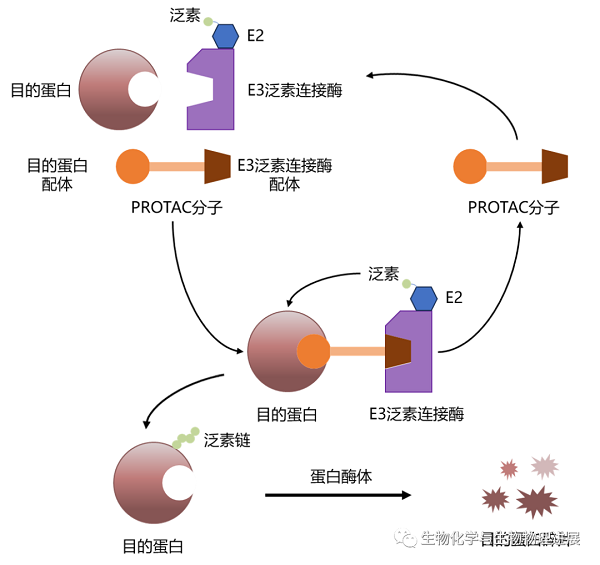 插图3.png